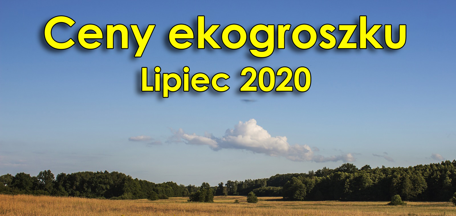 Ceny ekogroszku - Lipiec 2020